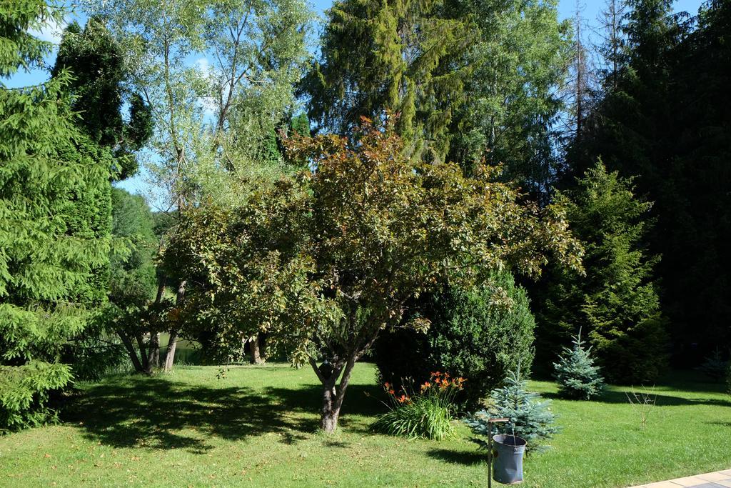 Sebesviz Panzio Bed & Breakfast Repashuta Exterior photo