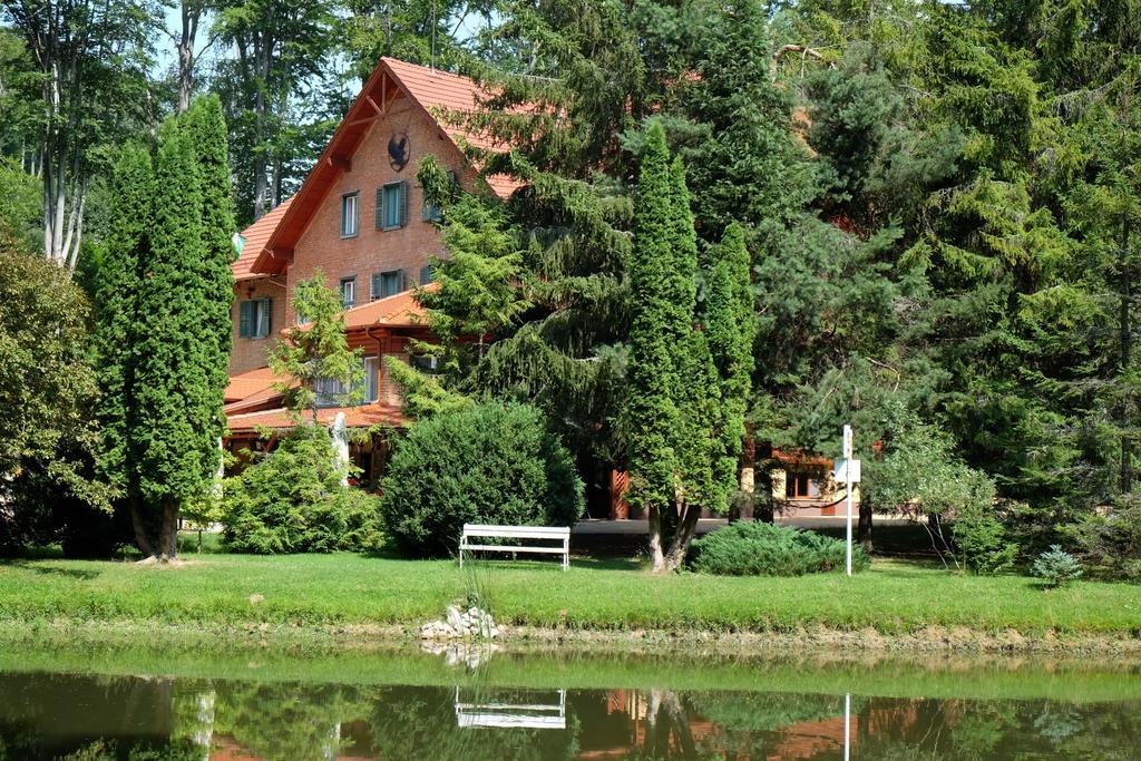 Sebesviz Panzio Bed & Breakfast Repashuta Exterior photo